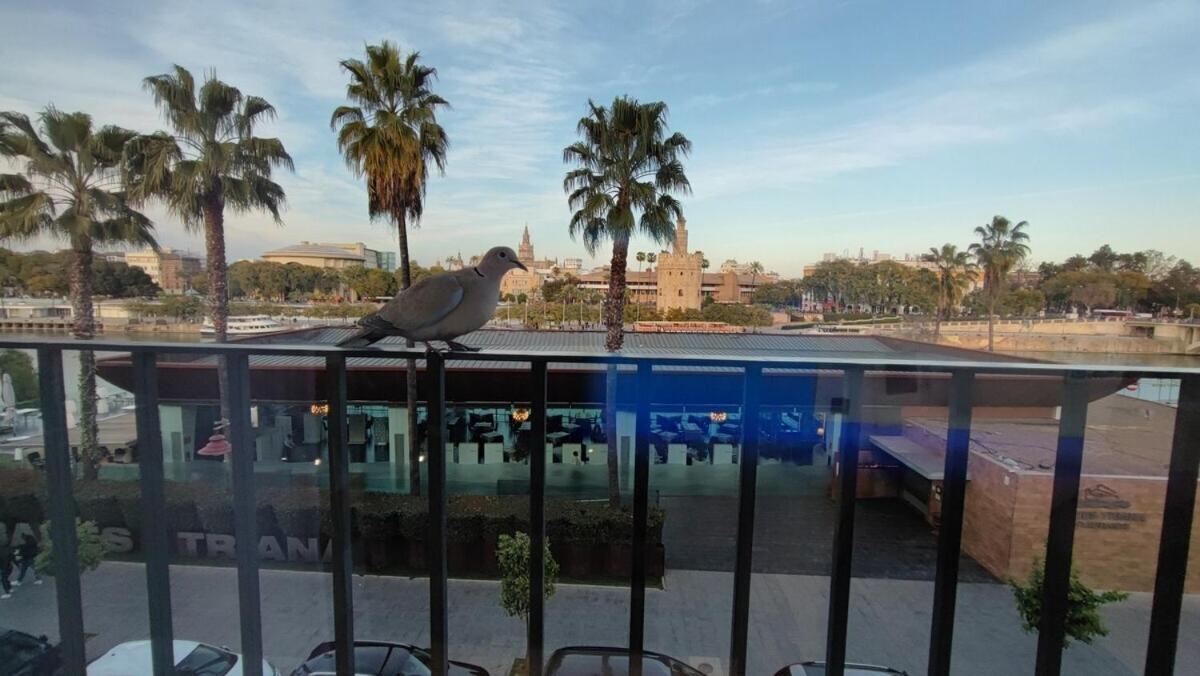 Casa de vacances Betis Del Oro *