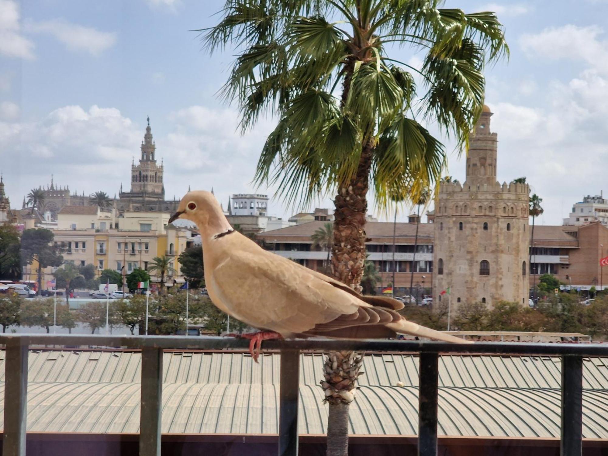 Betis Del Oro Hébergement de vacances