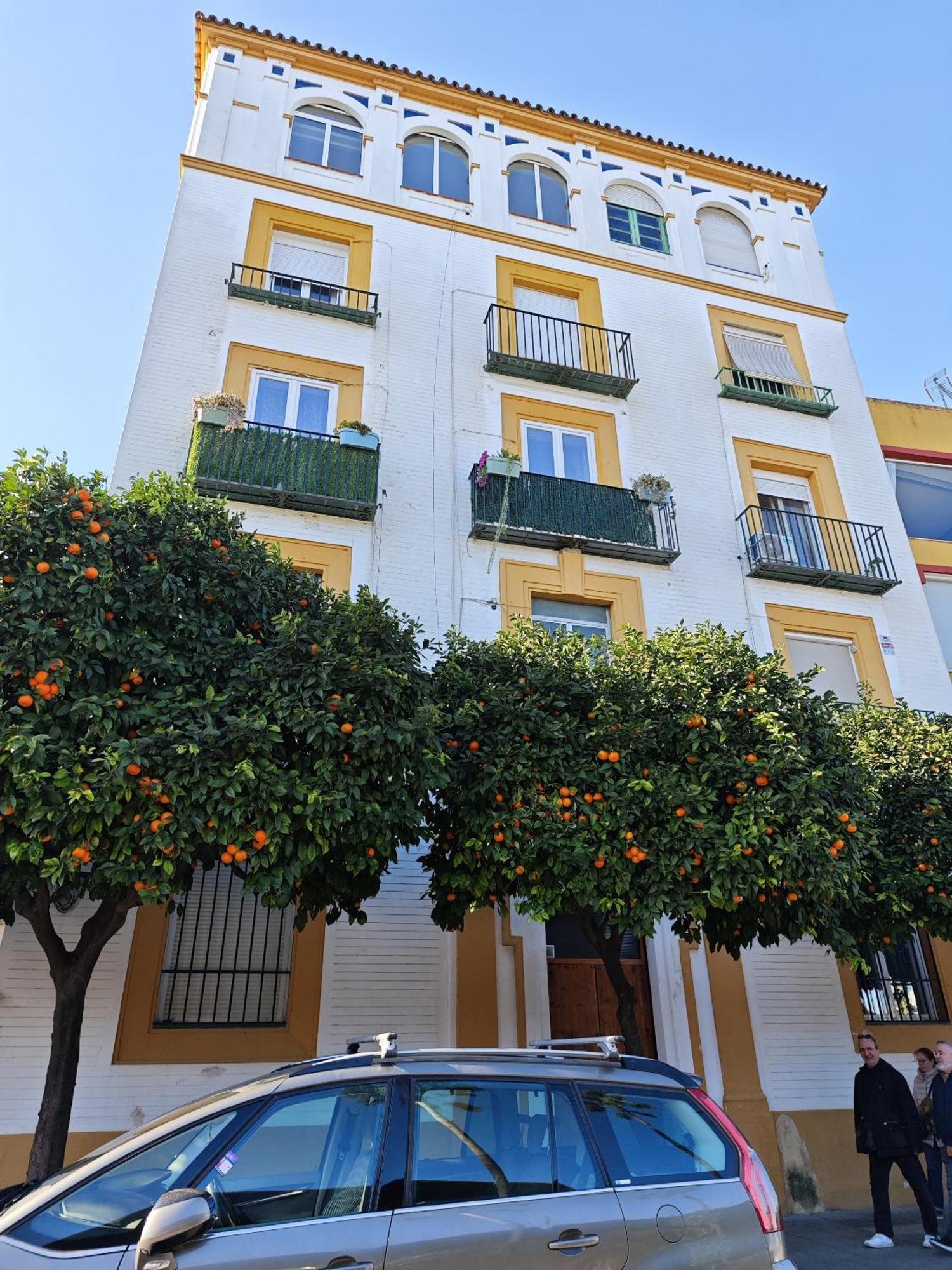Betis Del Oro Hébergement de vacances